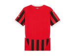 Jersey-Puma-Local-Milan-Replica-AC-24-25-Para-Hombre-774979-01